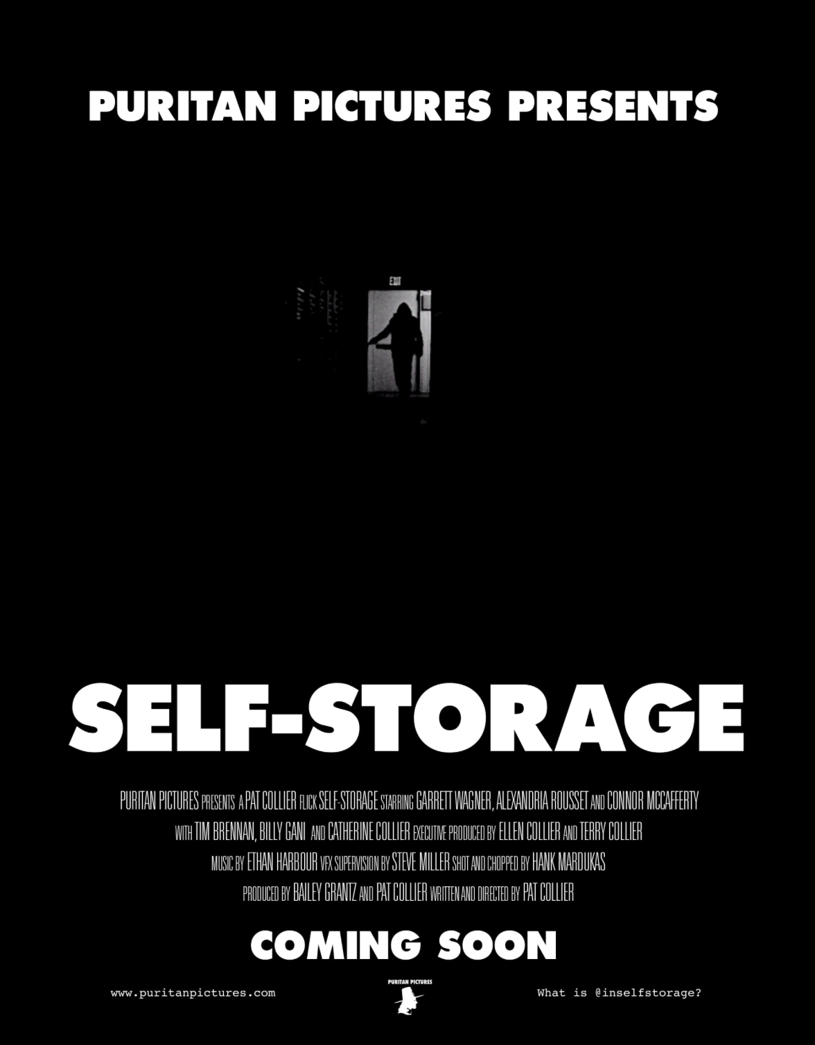 Self-Storage  (2019)